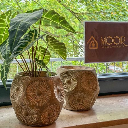 Moor Feeling Apartments וורפסוודה מראה חיצוני תמונה