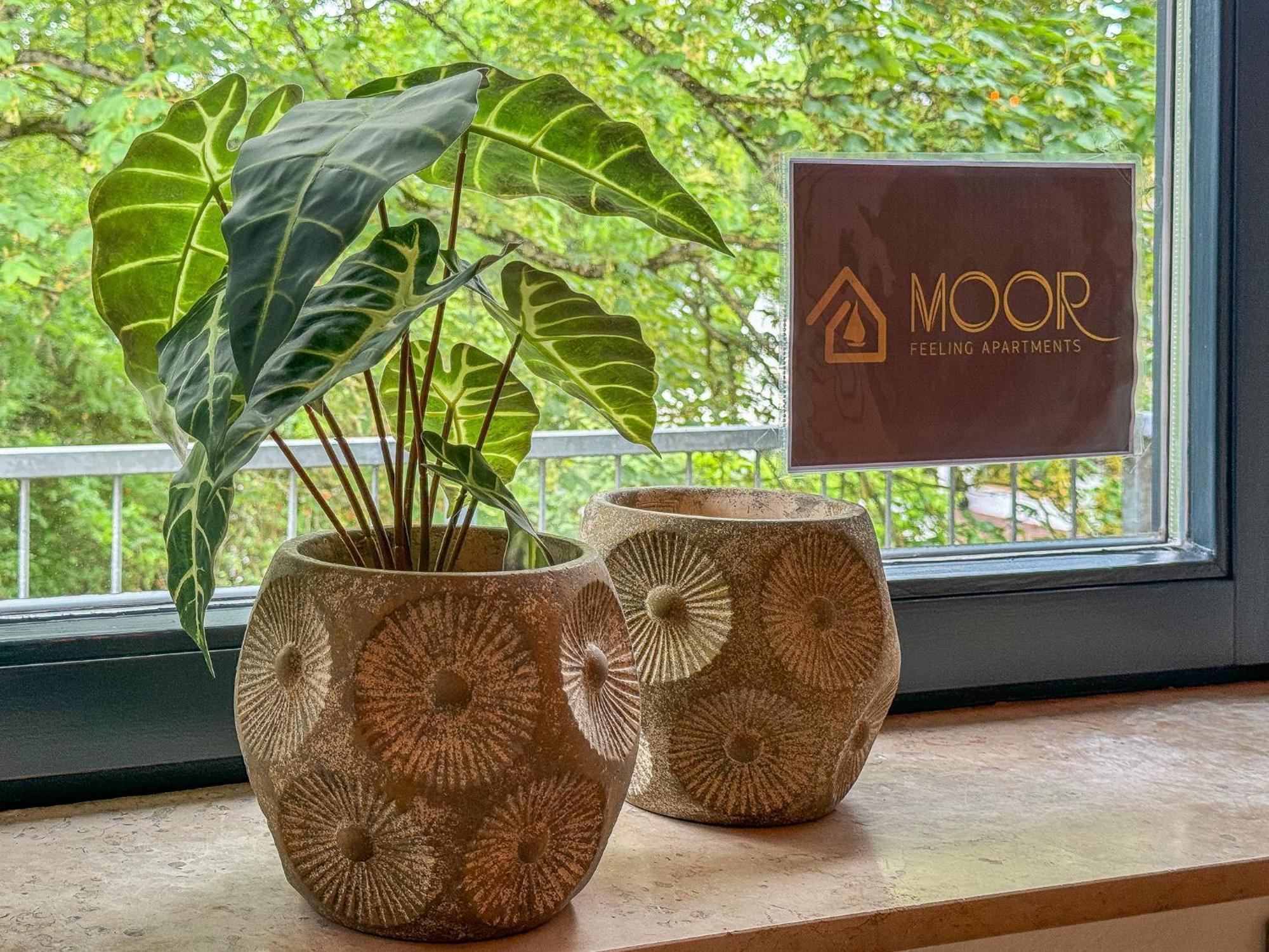 Moor Feeling Apartments וורפסוודה מראה חיצוני תמונה